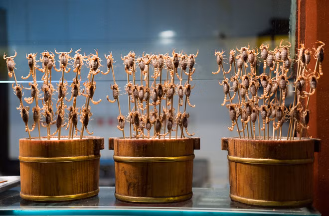 Khám phá đặc sản từ côn trùng ở miền Nam ảnh 4 Khám phá đặc sản từ côn trùng ở miền Nam ảnh 4