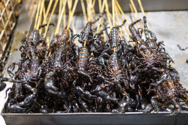 Khám phá đặc sản từ côn trùng ở miền Nam ảnh 2 Khám phá đặc sản từ côn trùng ở miền Nam ảnh 2