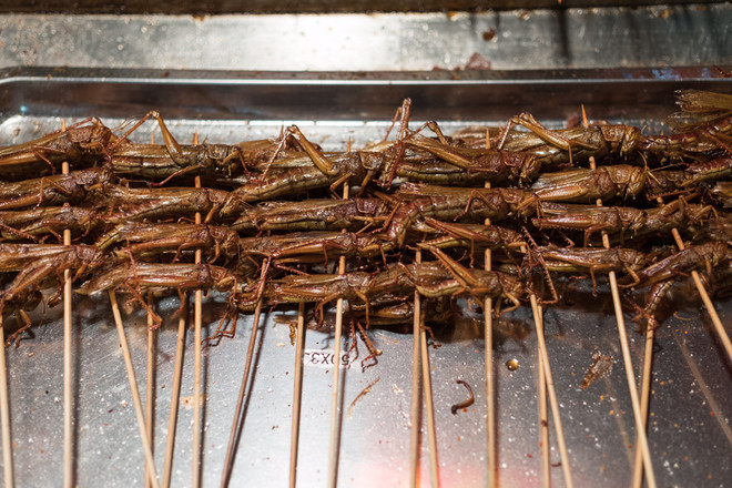 Khám phá đặc sản từ côn trùng ở miền Nam ảnh 3 Khám phá đặc sản từ côn trùng ở miền Nam ảnh 3