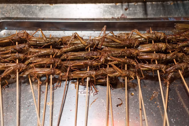 Khám phá đặc sản từ côn trùng ở miền Nam ảnh 3 Khám phá đặc sản từ côn trùng ở miền Nam ảnh 3