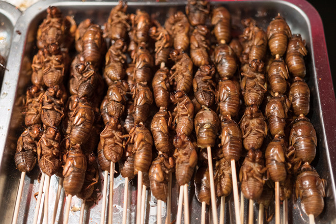 Khám phá đặc sản từ côn trùng ở miền Nam ảnh 5 Khám phá đặc sản từ côn trùng ở miền Nam ảnh 5