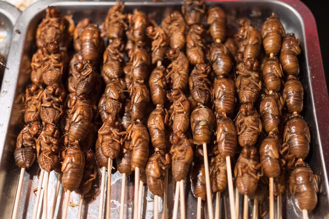 Khám phá đặc sản từ côn trùng ở miền Nam ảnh 5 Khám phá đặc sản từ côn trùng ở miền Nam ảnh 5