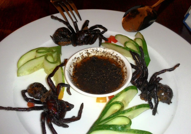 Khám phá đặc sản từ côn trùng ở miền Nam ảnh 1 Khám phá đặc sản từ côn trùng ở miền Nam ảnh 1