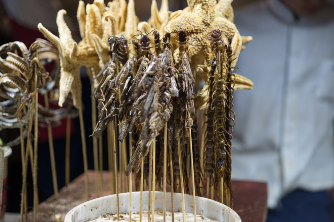 Khám phá đặc sản từ côn trùng ở miền Nam ảnh 6 Khám phá đặc sản từ côn trùng ở miền Nam ảnh 6