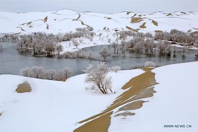 Màu trắng của tuyết được điểm xuyết bởi màu vàng của cát, tạo cảnh đẹp siêu thực. Ảnh:Xinhua.