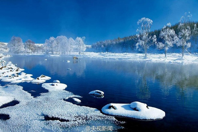 Vào mùa đông, nhiệt độ ở dãy Đại Hưng An (tỉnh Hắc Long Giang) có thể xuống tới -40 độ C. Ảnh:CNTV.