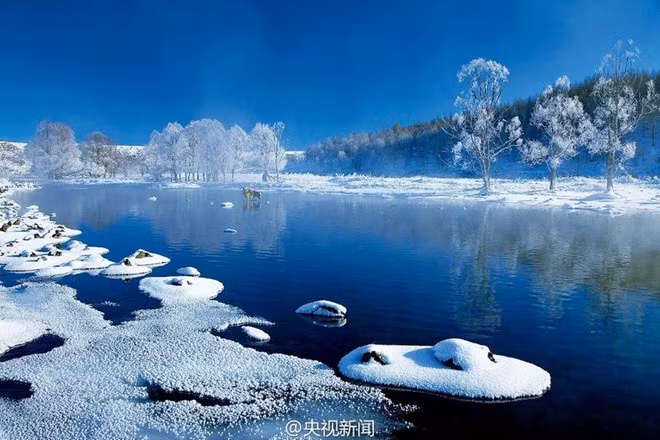 Vào mùa đông, nhiệt độ ở dãy Đại Hưng An (tỉnh Hắc Long Giang) có thể xuống tới -40 độ C. Ảnh:CNTV.