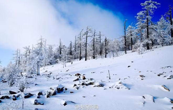 Tuyết trắng mịn trên sườn núi, dưới bầu trời xanh biếc của mùa đông.