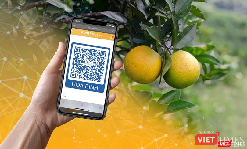 Năm 2021, Bưu điện VN đã chuyển phát, vận chuyển logistics nông sản ra thế giới, đặc biệt là các thị trường Nhật Bản, Đức, Úc, châu Âu.