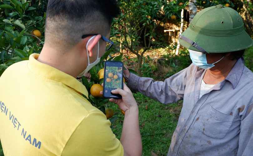 Nông dân được hướng dẫn sử dụng máy tính, điện thoai thông minh, Internet, nền tảng thương mại điện tử… để sớm làm chủ được hình thức bán hàng mới.