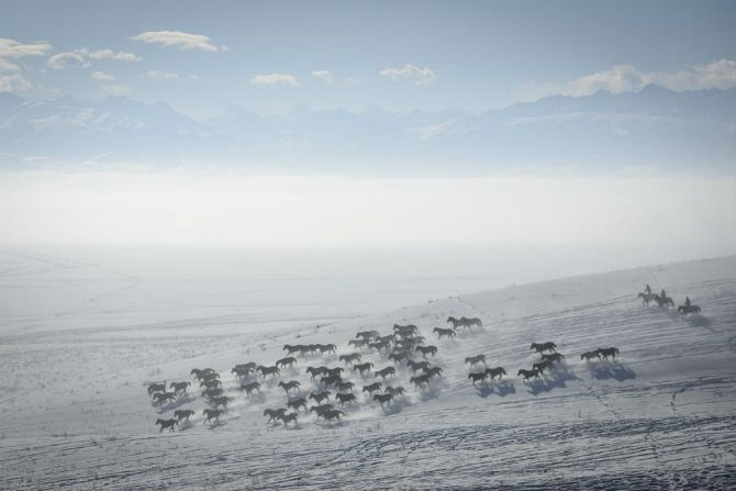 Đàn ngựa chạy trên cánh đồng phủ đầy tuyết trắng ở Zhaosu, Yili, Khu tự trị Tân Cương, Trung Quốc, ngày 10/1/2016.