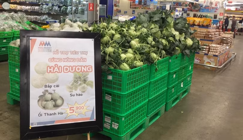Các mặt hàng trong chiến dịch giải cứu nông sản Hải Dương được MM bán với giá 5.900 đồng/kg. Các mặt hàng trong chiến dịch giải cứu nông sản Hải Dương được MM bán với giá 5.900 đồng/kg.
