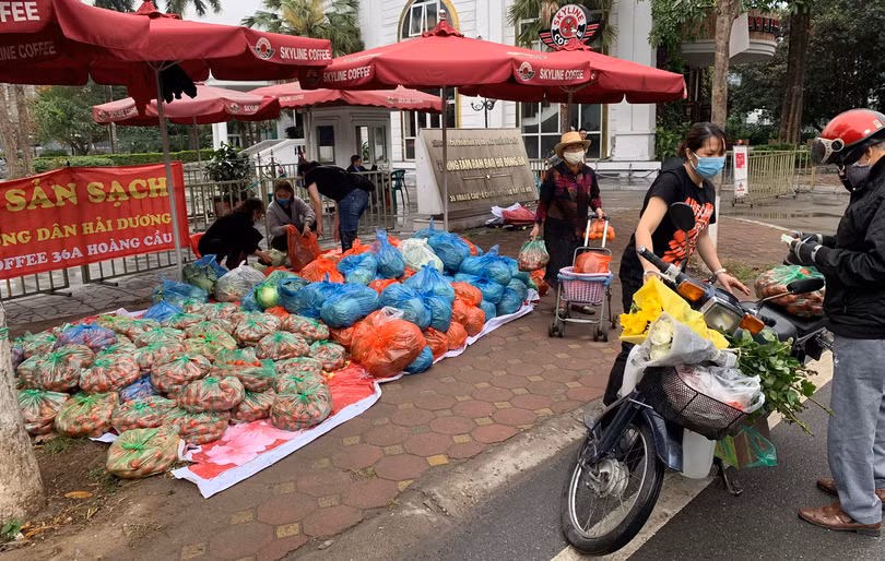 Nông sản được bán "giải cứu" tại điểm Skyline Coffee bán đảo Hoàng Cầu là cà chua và bắp cải. Nông sản được bán "giải cứu" tại điểm Skyline Coffee bán đảo Hoàng Cầu là cà chua và bắp cải.