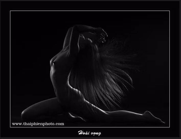 Hoài vọng- một trong những tác phẩm nổi tiếng của Thái Phiên