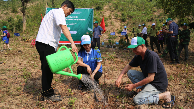 Năm 2021 và 2022, VARS trồng được 313,9 hecta tại 3 tỉnh Sơn La, Quảng Trị và Quảng Bình
