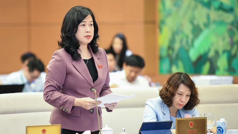 Bà Đào Hồng Lan phát biểu tại kỳ họp Quốc hội Bà Đào Hồng Lan phát biểu tại kỳ họp Quốc hội