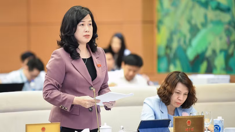 Bà Đào Hồng Lan phát biểu tại kỳ họp Quốc hội