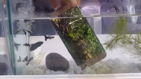 Ngoài màn trình diễn với ánh sáng và sân khấu độc đáo, Samsung gây thích thú cho người tham dự khi mở ra một không gian trắng tinh, đồng thời giấu các máy S7, S7 Edge gần các hồ nước, sau đó yêu cầu khách mời thả máy vào nước nhằm minh họa cho khả năng chống bụi, nước của bộ đôi smartphone. Ngoài màn trình diễn với ánh sáng và sân khấu độc đáo, Samsung gây thích thú cho người tham dự khi mở ra một không gian trắng tinh, đồng thời giấu các máy S7, S7 Edge gần các hồ nước, sau đó yêu cầu khách mời thả máy vào nước nhằm minh họa cho khả năng chống bụi, nước của bộ đôi smartphone.