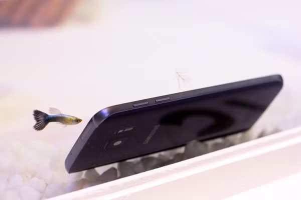 Hai máy của Samsung có khả năng chống nước theo tiêu chuẩn IP68. Hai máy của Samsung có khả năng chống nước theo tiêu chuẩn IP68.