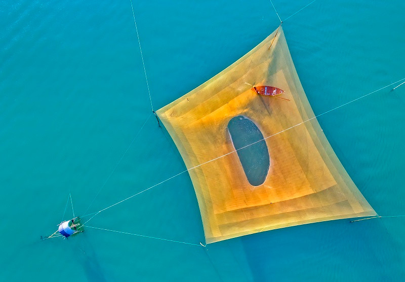 Tác phẩm “Nghề rớ ở Cửa Đại” của tác giả Nguyễn Minh Tân