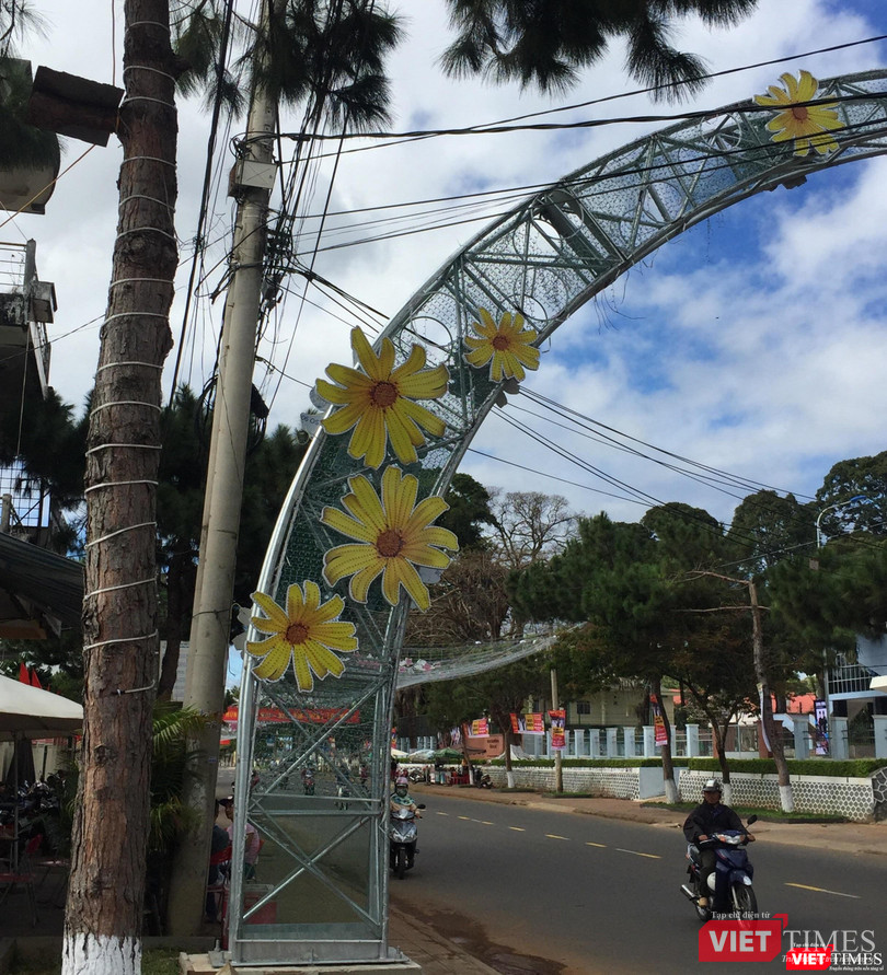 Những bông hoa được treo lên mỗi dịp Tết đến có làm cho đô thị đẹp hơn? Những bông hoa được treo lên mỗi dịp Tết đến có làm cho đô thị đẹp hơn?