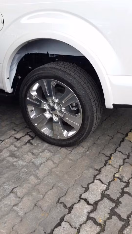 Xe bán tải hạng sang Ford F-150 Limited 2016 giá 1,4 tỷ đồng ảnh 3