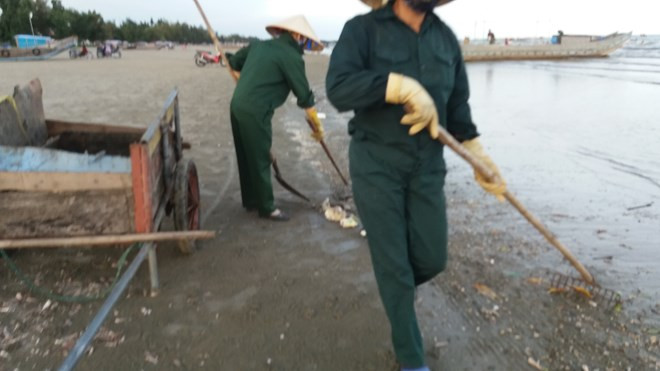 Nhiều "vật thể lạ" bốc mùi hôi thối dạt vào bãi biển Trà Cổ ảnh 6