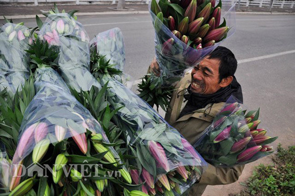 Những ngày gần đây, cộng đồng mạng liên tục chia sẻ hình ảnh về hoa ly ở làng hoa Tây Tựu Hà Nội). Thời tiết ấm bất thường của mùa đông năm nay khiến hoa ly nở hàng loạt, đưa người trồng hoa lâm vào cảnh khốn đốn. Nhiều cửa hàng hoa, cùng người tiêu dùng đã kêu gọi mua hoa ly ủng hộ cho người dân Tây Tựu, "cứu" lấy hoa ly. 10-anh-hot-trong-ngay-tren-facebook-7