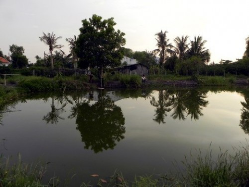 6 dịch vụ du lịch mới cho mùa hè 2016 ảnh 6