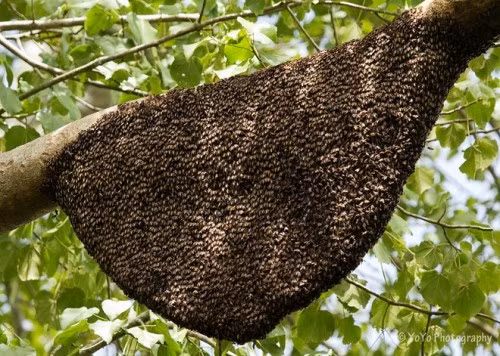 6 dịch vụ du lịch mới cho mùa hè 2016 ảnh 1 6 dịch vụ du lịch mới cho mùa hè 2016 ảnh 1