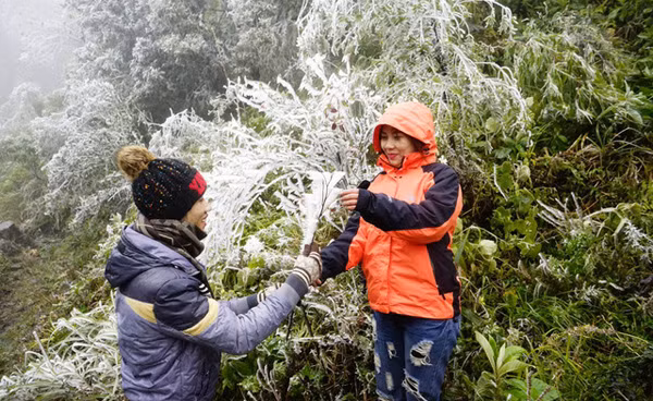 Nhiệt độ liên tiếp giảm thấp nên vùng núi cao trên 1.500m có thể xuất hiện băng giá. Ảnh minh họa: Vietnamnet.