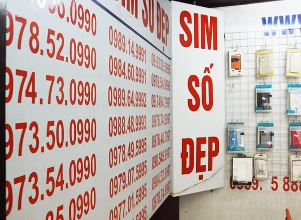 Sim 'siêu đẹp' 9 con 8 sẽ được đấu giá