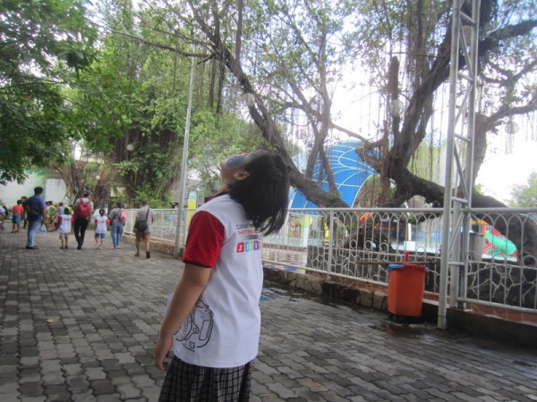 10 bức ảnh xuất thần của các “tay máy nhí” trong cuộc đua sáng tác nhanh ảnh 12 10 bức ảnh xuất thần của các “tay máy nhí” trong cuộc đua sáng tác nhanh ảnh 12