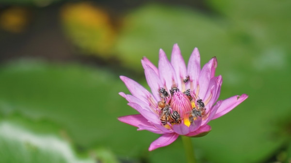 10 bức ảnh xuất thần của các “tay máy nhí” trong cuộc đua sáng tác nhanh ảnh 3 10 bức ảnh xuất thần của các “tay máy nhí” trong cuộc đua sáng tác nhanh ảnh 3