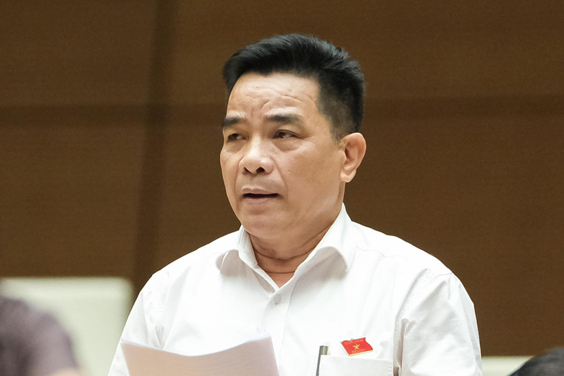 Đại biểu Lê Văn Dũng - Đoàn ĐBQH tỉnh Quảng Nam.