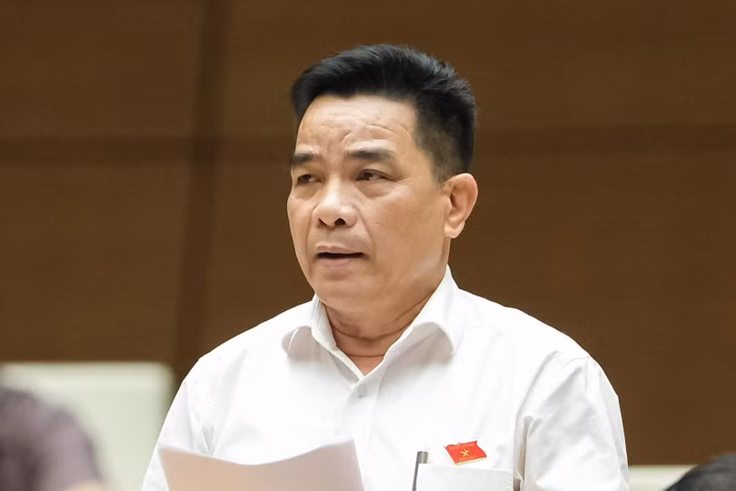 Đại biểu Lê Văn Dũng - Đoàn ĐBQH tỉnh Quảng Nam.