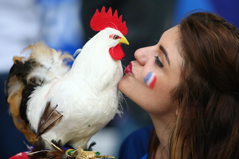 1001 kiểu nụ hôn tại Euro 2016 ảnh 14