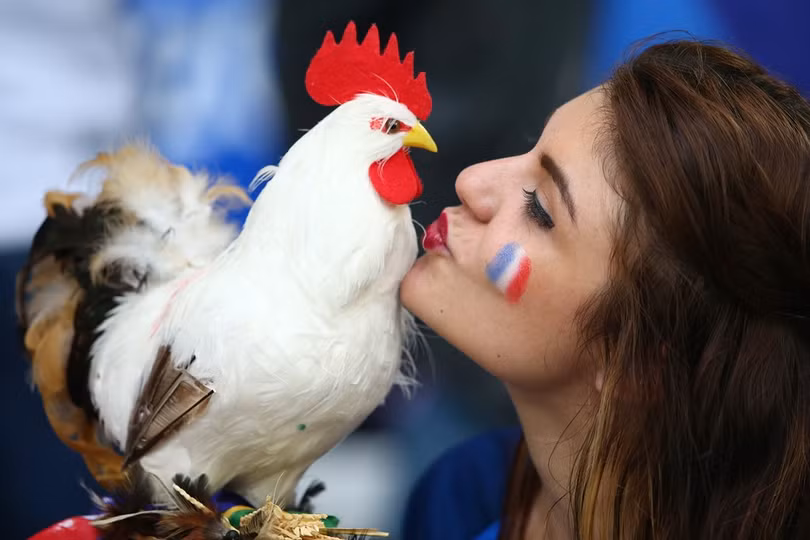 1001 kiểu nụ hôn tại Euro 2016 ảnh 14