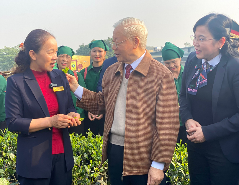 Tổng Bí thư Nguyễn Phú Trọng thăm nơi sản xuất, chế biến chè của HTX Chè Hảo Đạt