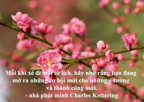 10 câu nói ý nghĩa cho ngày đầu năm - ảnh 9