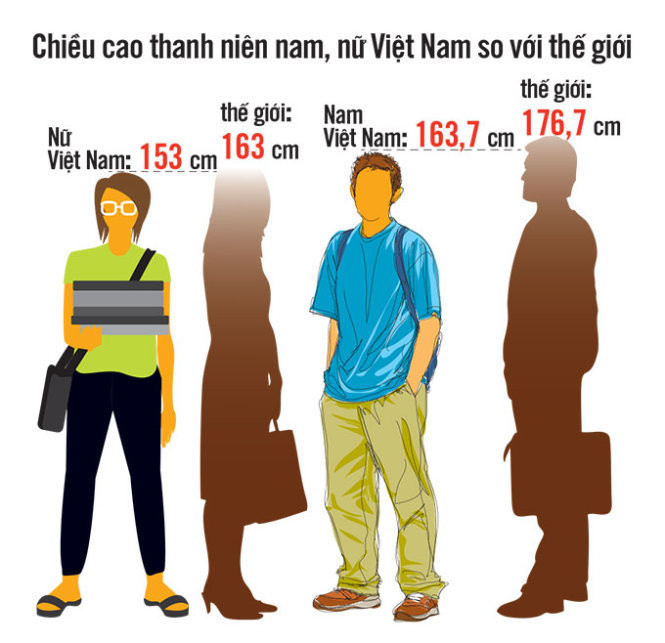 Chiều cao thanh niên VN theo kết quả điều tra từ tháng 10-2014 đến tháng 10-2015