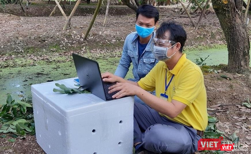 Theo các chuyên gia kinh tế, phương thức tiêu thụ nông sản qua sàn thương mại điện tử không chỉ giúp người nông dân giải quyết bài toán đầu ra cho sản phẩm trong dịch mà sẽ mở ra một hướng tiêu thụ nông sản mới, hiệu quả và bền vững. Theo các chuyên gia kinh tế, phương thức tiêu thụ nông sản qua sàn thương mại điện tử không chỉ giúp người nông dân giải quyết bài toán đầu ra cho sản phẩm trong dịch mà sẽ mở ra một hướng tiêu thụ nông sản mới, hiệu quả và bền vững.