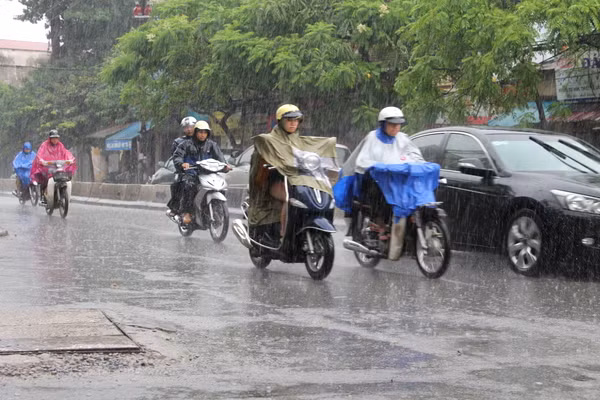 Hôm nay, Bắc Bộ có mưa rào, trời mát.