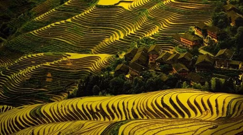 Đặc sản Tết Campuchia: Đắt hàng từ bánh bò tới cá khô ảnh 3