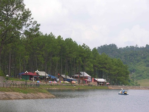 Kinh nghiệm du lịch Mộc Châu dịp Tết Nguyên đán ảnh 3