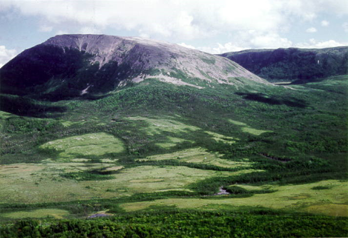 Năm 1987, công viên đã được UNESCO công nhận là Di sản thế giới. Ảnh: unesco.