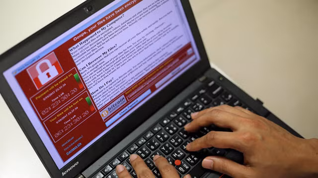 Ảnh minh hoạ: Vietnam+