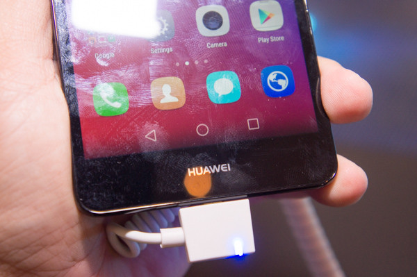 Phần dưới mặt trước GR 5