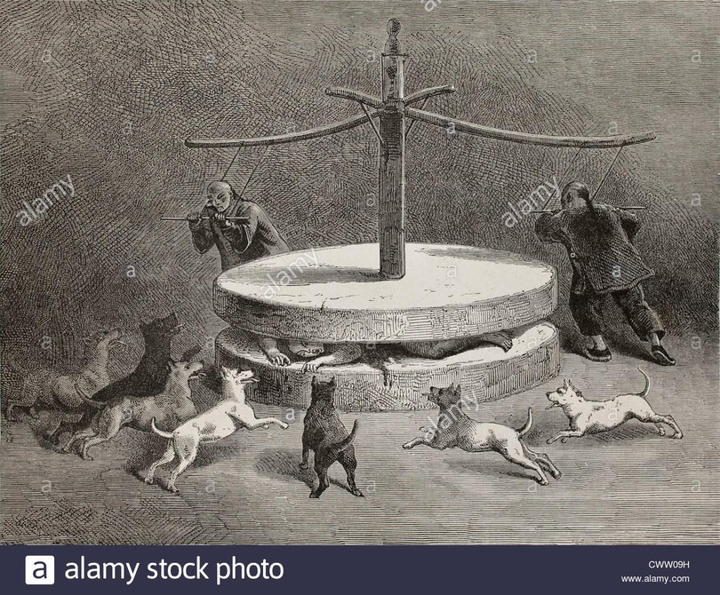 Những “vật thí nghiệm” bị làm nhiễm các bệnh thương hàn, dịch tả, bệnh lị và bị đầu độc bằng khí độc. Những “vật thí nghiệm” bị làm nhiễm các bệnh thương hàn, dịch tả, bệnh lị và bị đầu độc bằng khí độc.