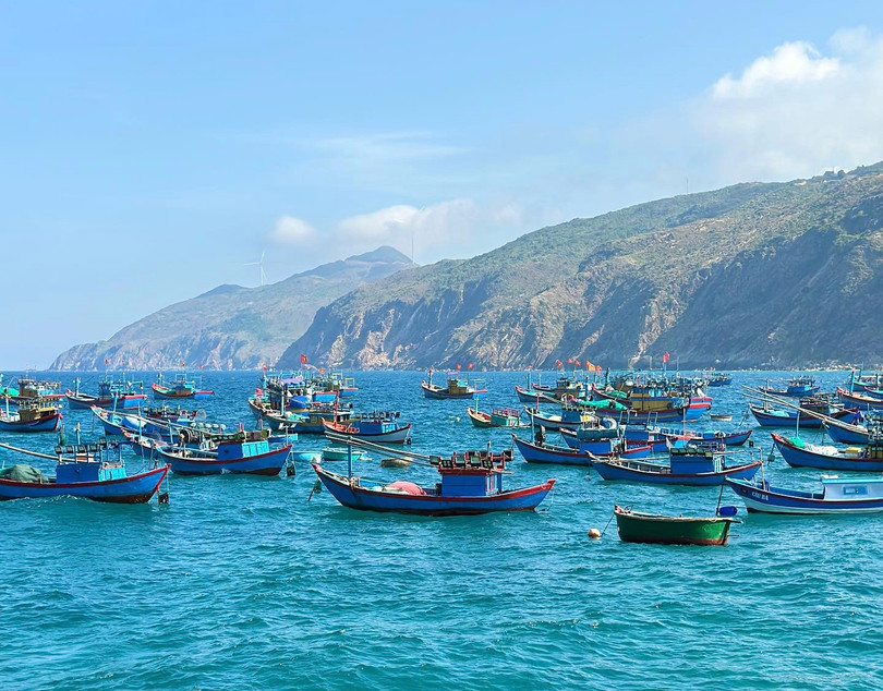 Hình 5 - Quy Nhơn.jpg